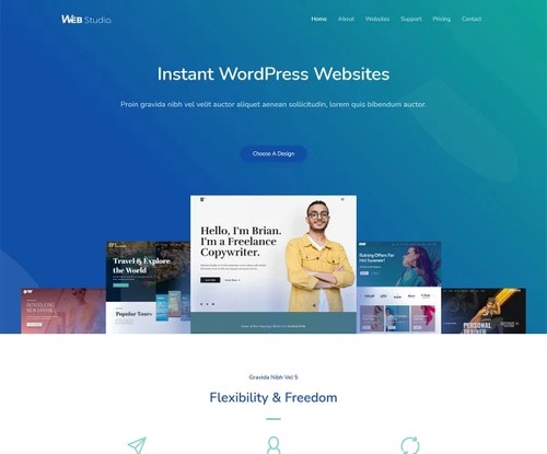 Agency 10 template preview