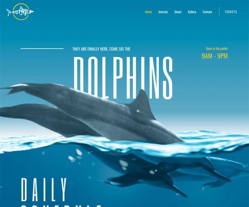 Aquarium template preview