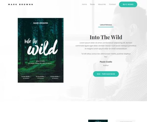 Author template preview