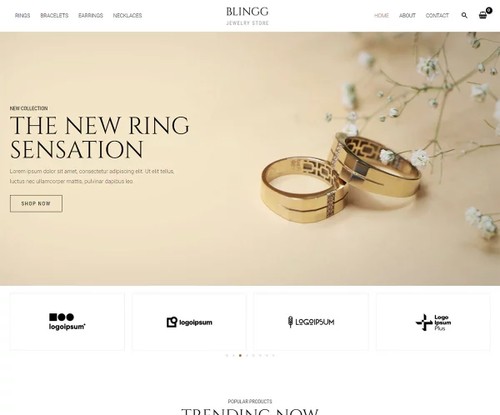 Blingg Jewelry template preview