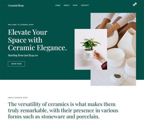 CeramicShop template preview