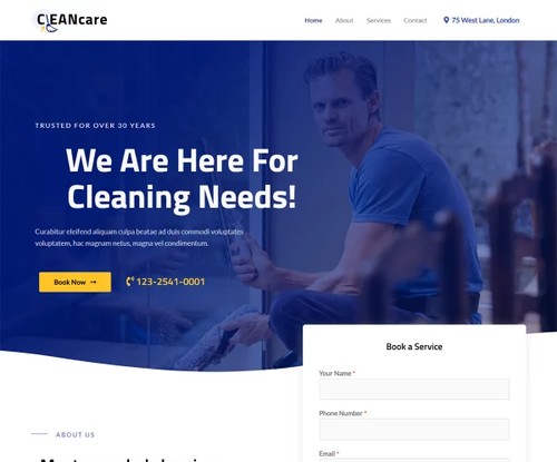Cleaning Service template preview