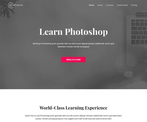 eCourse – Learn Photoshop template preview