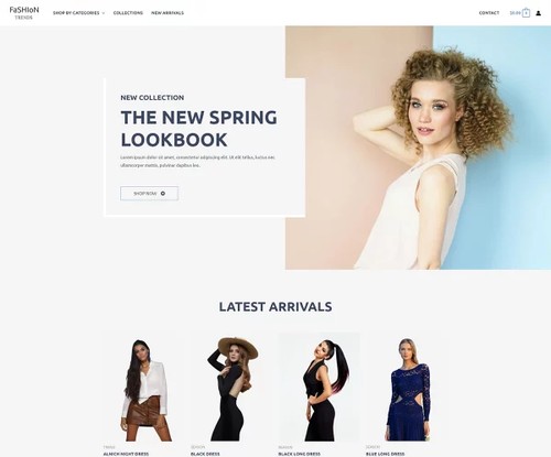 Fashion and Clothing template preview