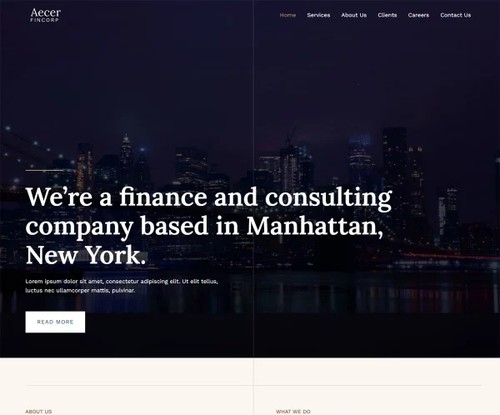 Finance & Consulting template preview