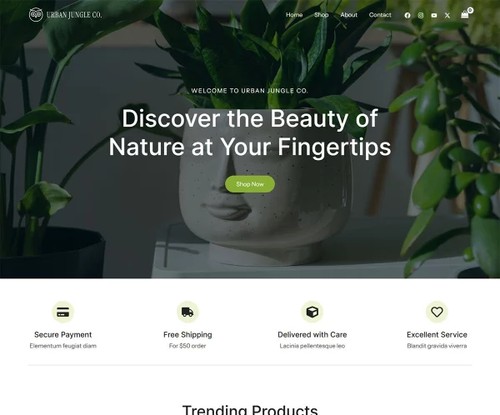 Generic eCommerce template preview
