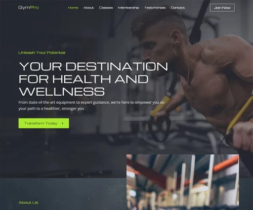 Gym Pro template preview