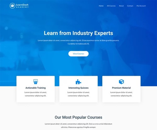 LearnDash Academy template preview