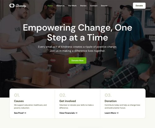 Non-Profit Organization template preview