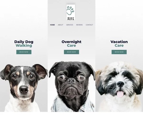 Pet Care template preview