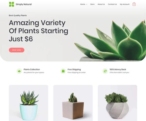 Simply Natural template preview