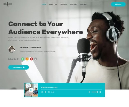 Podcaster template preview