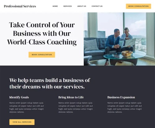 Professional Services 2 template preview