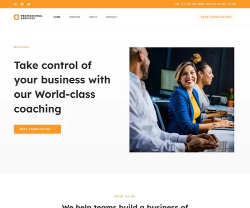 Professional Services template preview