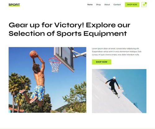 Sports Equipment Store template preview
