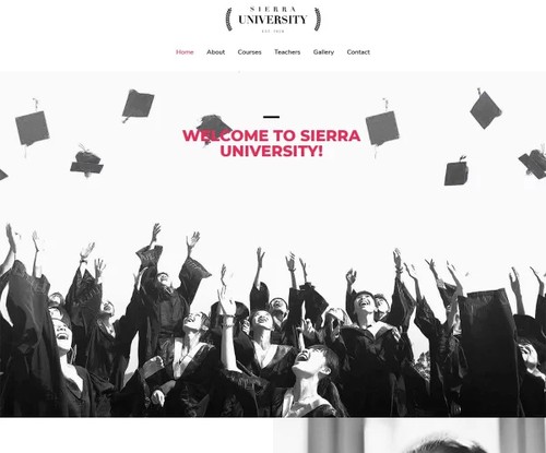 University 2 template preview